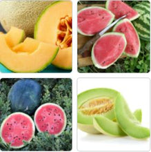 Load image into Gallery viewer, Melon Mix pack ' 4-pack