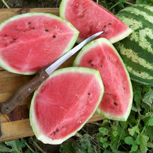 Load image into Gallery viewer, Melon Mix pack ' 4-pack