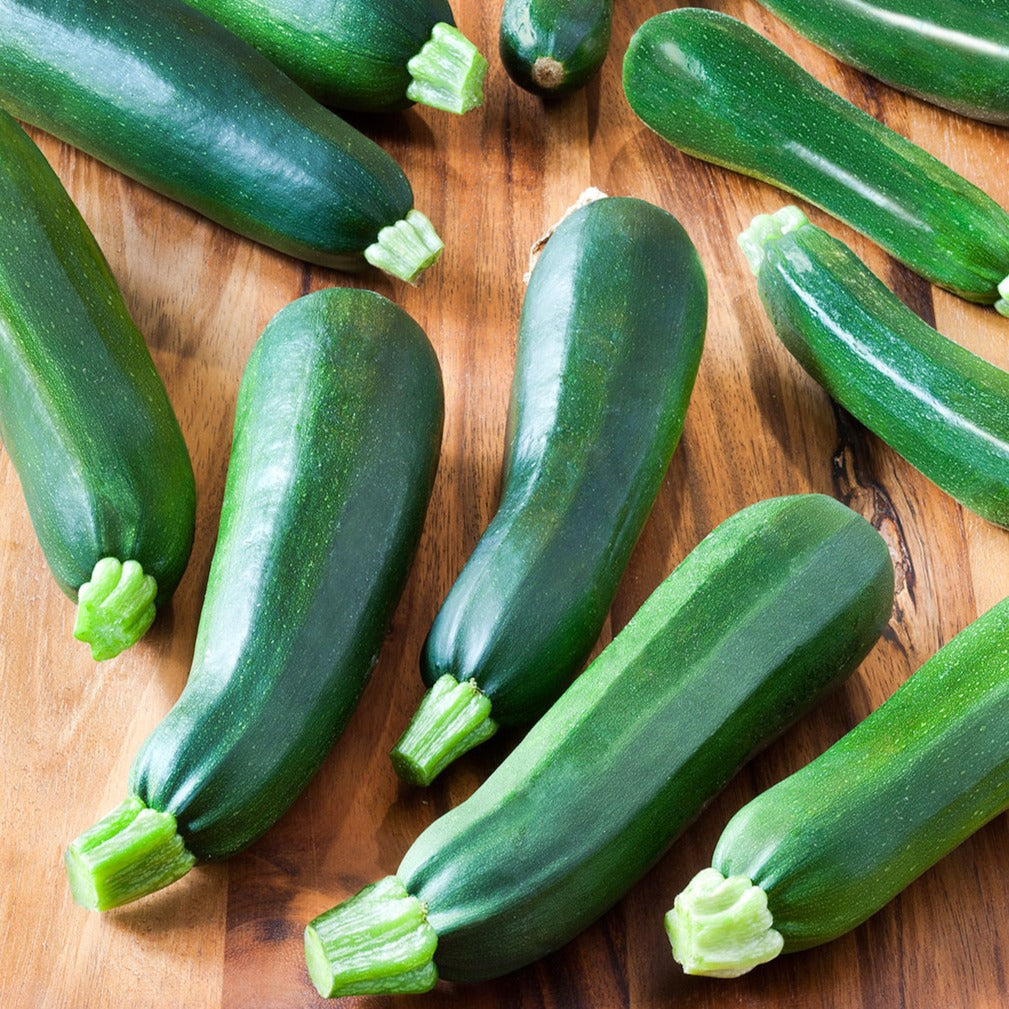 Squash: Zucchini 4-pack