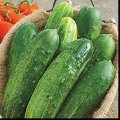 Cucumber Straight Eight 4-pack