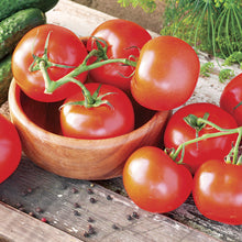 Load image into Gallery viewer, Tomato Mix pack 4-pack
