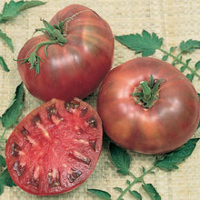 Load image into Gallery viewer, Tomato Mix pack 4-pack

