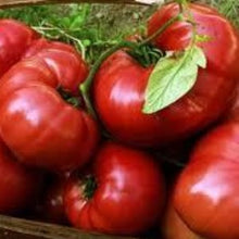 Load image into Gallery viewer, Tomato Brandywine 4-pack
