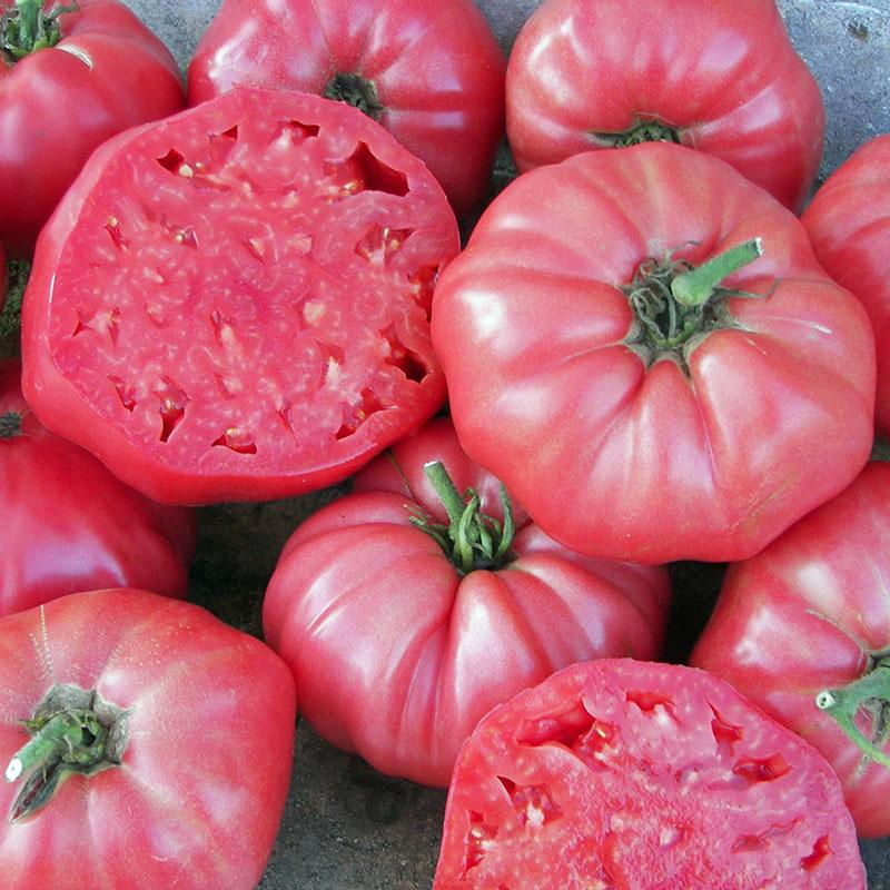 Tomato Brandywine 4-pack