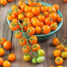 Load image into Gallery viewer, Tomato Mix pack 4-pack
