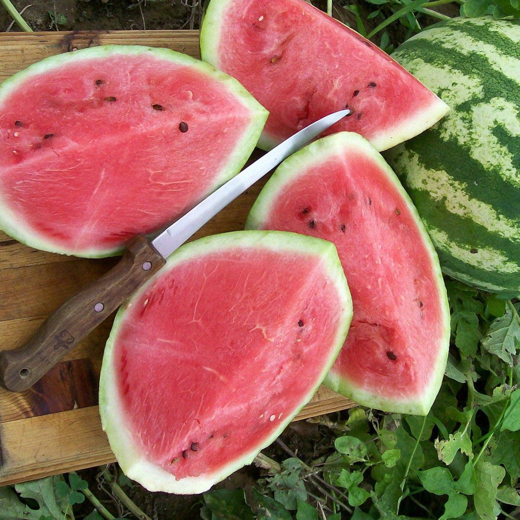 Melon Watermelon 'Crimson Sweet' 4-pack