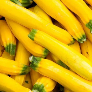 Squash: Yellow zucchini squash 4pack